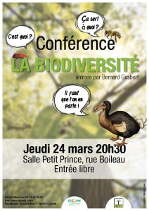 Images intégrées 3